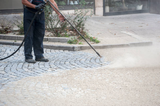 Best Winterizing Services  in Towson, MD